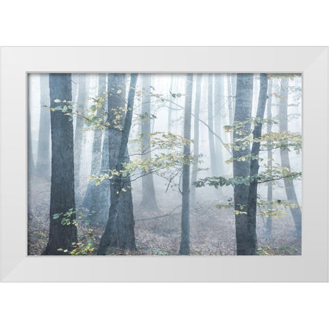 Chalky Misty White Modern Wood Framed Art Print by Weisz, Irene