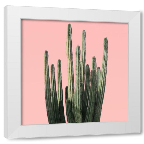 Island Succulent White Modern Wood Framed Art Print by Carpentieri, Natalie