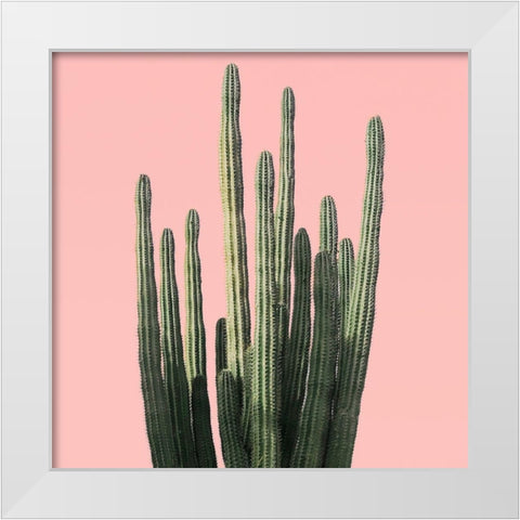 Island Succulent White Modern Wood Framed Art Print by Carpentieri, Natalie