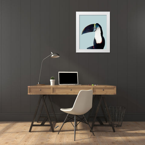 Aruba Wildlife White Modern Wood Framed Art Print by Carpentieri, Natalie