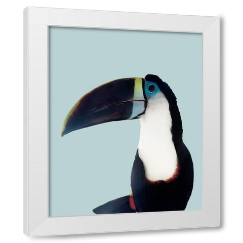 Aruba Wildlife White Modern Wood Framed Art Print by Carpentieri, Natalie