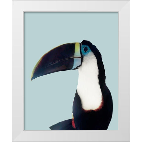 Aruba Wildlife White Modern Wood Framed Art Print by Carpentieri, Natalie