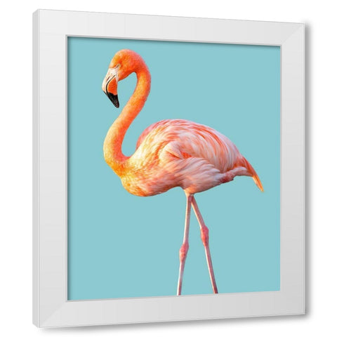 Flamingo White Modern Wood Framed Art Print by Jannsen, Brian