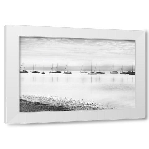 Ammerlake Morning White Modern Wood Framed Art Print by Weisz, Irene
