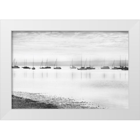 Ammerlake Morning White Modern Wood Framed Art Print by Weisz, Irene