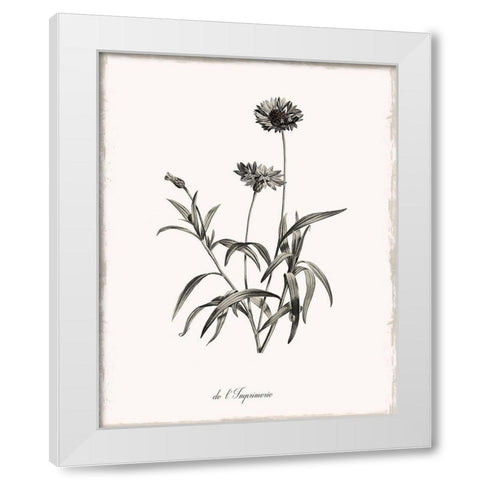 Sketchbook Imperial White Modern Wood Framed Art Print by Donovan, Kelly