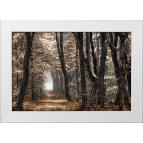 Forest Dimension White Modern Wood Framed Art Print by Van de Goor, Lars
