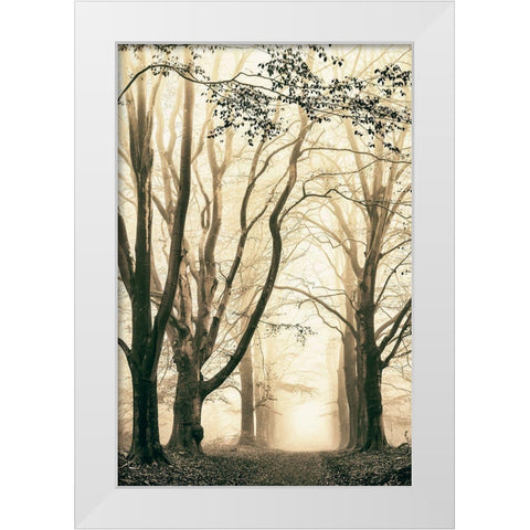 Silence White Modern Wood Framed Art Print by Van de Goor, Lars