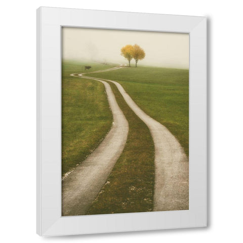 Winding Path White Modern Wood Framed Art Print by Van de Goor, Lars