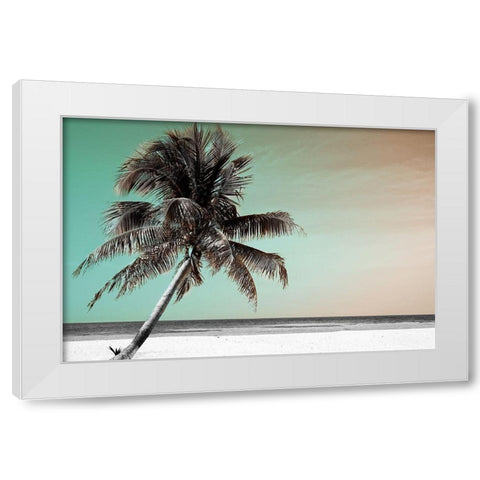 Barrier Reef White Modern Wood Framed Art Print by Delimont, Danita