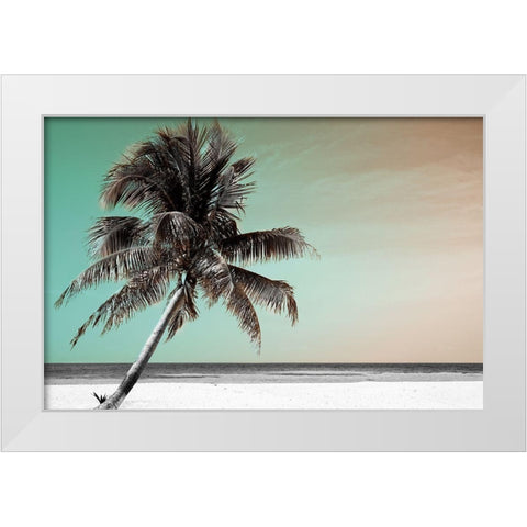 Barrier Reef White Modern Wood Framed Art Print by Delimont, Danita