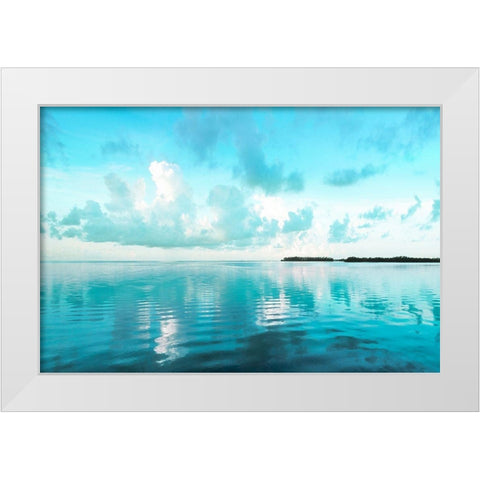 Biscayne Bay White Modern Wood Framed Art Print by Delimont, Danita