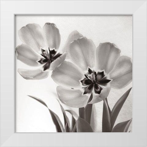 Tulip Dream White Modern Wood Framed Art Print by Donovan, Kelly