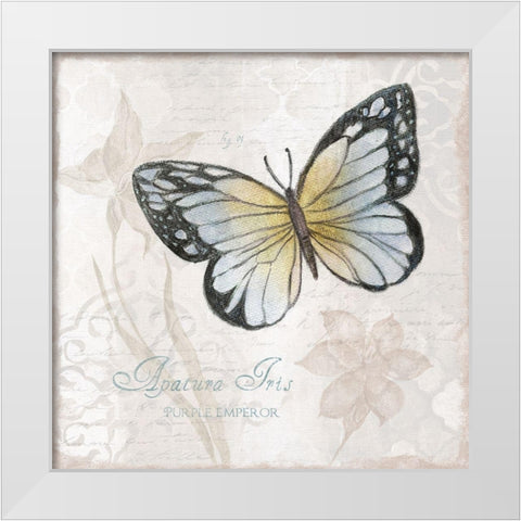 Postcard Butterfly IV White Modern Wood Framed Art Print by Tava Studios
