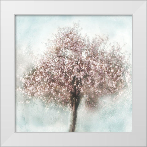 Awakening I White Modern Wood Framed Art Print by Weisz, Irene
