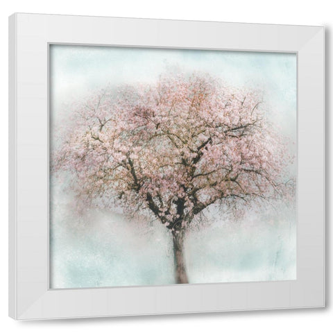 Awakening II White Modern Wood Framed Art Print by Weisz, Irene