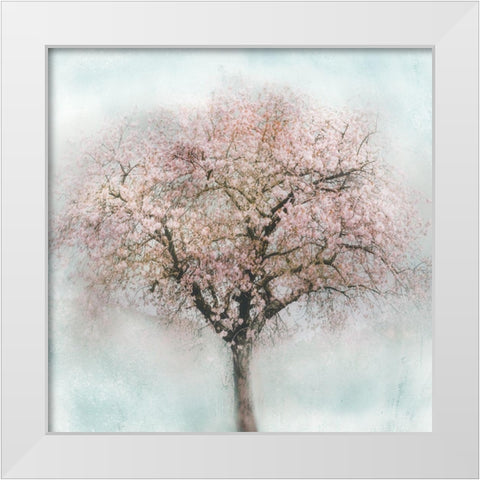Awakening II White Modern Wood Framed Art Print by Weisz, Irene