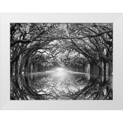 Oak Alley Reflection White Modern Wood Framed Art Print by Wells, Joanne