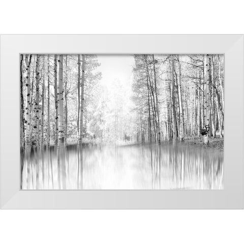Aspen Reflection White Modern Wood Framed Art Print by Gulin, Darrell