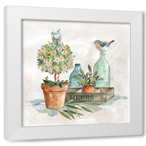 Garden Glimpse II White Modern Wood Framed Art Print by Robinson, Carol