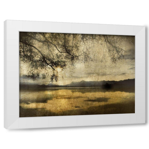 Golden Staffelsee Lake White Modern Wood Framed Art Print by Weisz, Irene