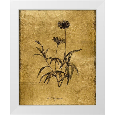 Gold Sketch Botanical I White Modern Wood Framed Art Print by Donovan, Kelly