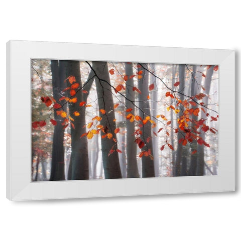 Falling Moments White Modern Wood Framed Art Print by Weisz, Irene