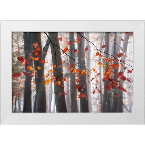 Falling Moments White Modern Wood Framed Art Print by Weisz, Irene