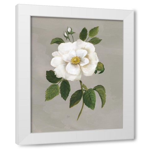 Botanical Garden Rose White Modern Wood Framed Art Print by Nan