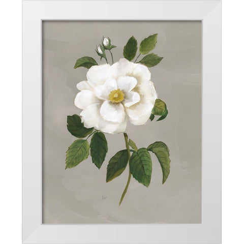 Botanical Garden Rose White Modern Wood Framed Art Print by Nan