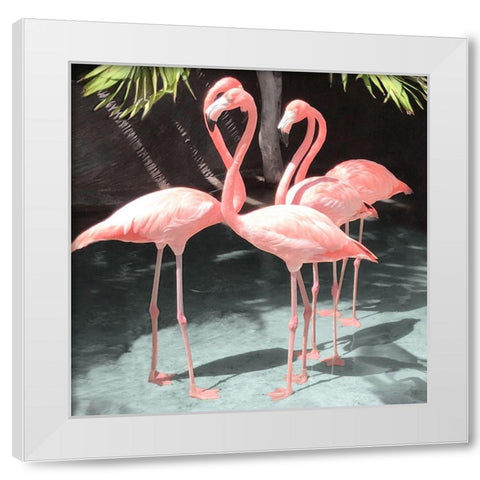 Flamingo Inlet I White Modern Wood Framed Art Print by Carpentieri, Natalie