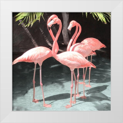 Flamingo Inlet I White Modern Wood Framed Art Print by Carpentieri, Natalie