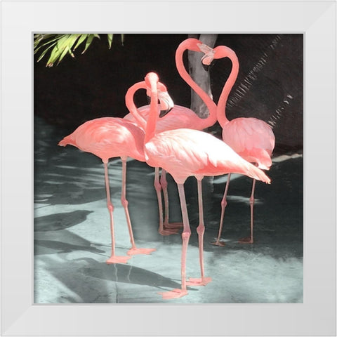 Flamingo Inlet II White Modern Wood Framed Art Print by Carpentieri, Natalie