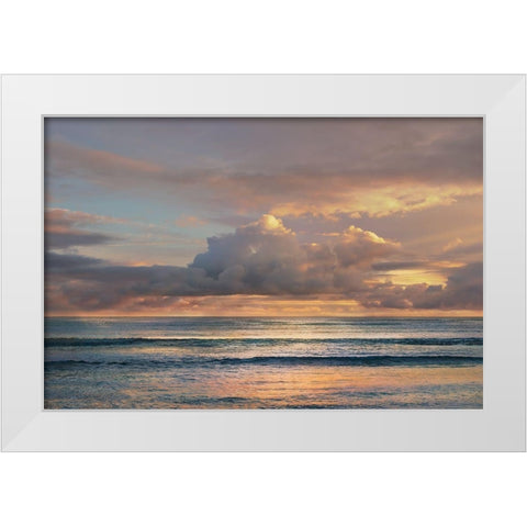 A Morning Meditation White Modern Wood Framed Art Print by Calascibetta, Mike
