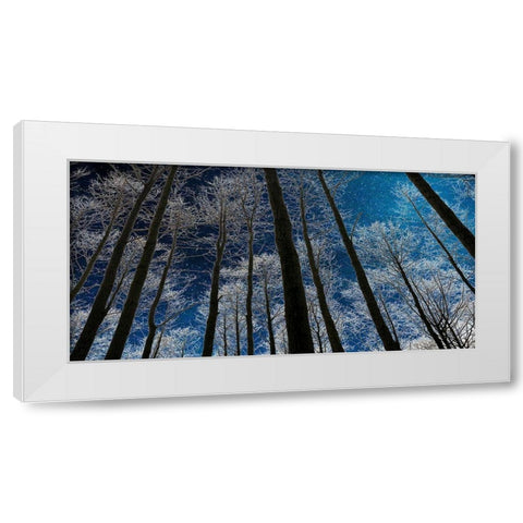 Night Silhouette White Modern Wood Framed Art Print by Jill, Susan