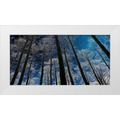 Night Silhouette White Modern Wood Framed Art Print by Jill, Susan