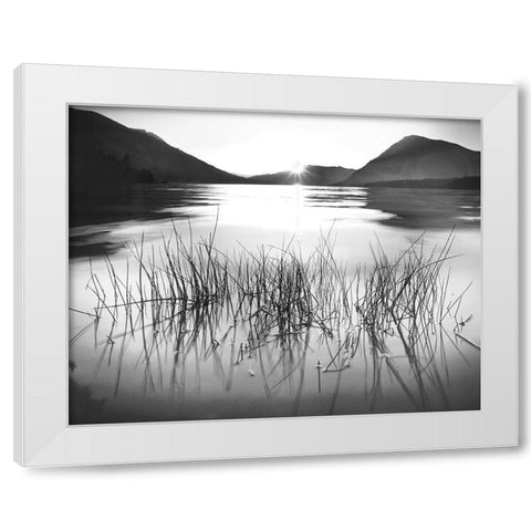 Whisper Lake White Modern Wood Framed Art Print by Gurche, Charles