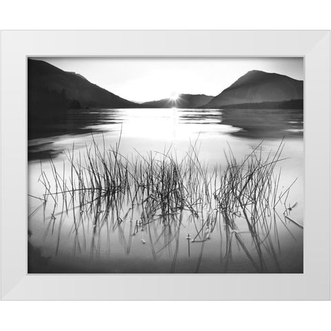 Whisper Lake White Modern Wood Framed Art Print by Gurche, Charles