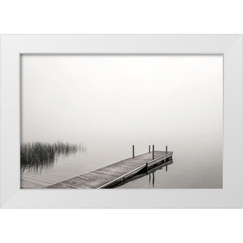 Morning Mist White Modern Wood Framed Art Print by Hawkins, Peter