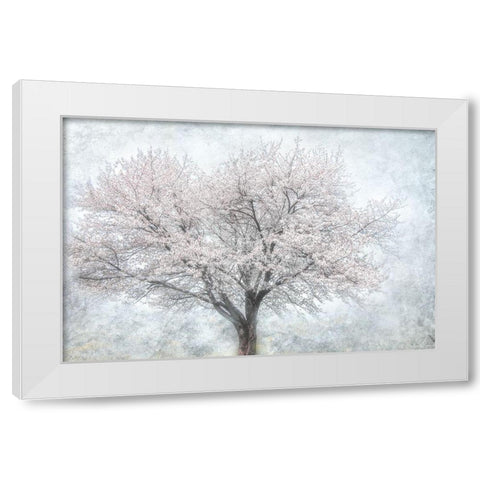 A Feel of Spring II White Modern Wood Framed Art Print by Weisz, Irene