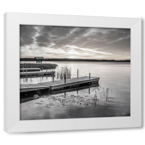 Soft Summer White Modern Wood Framed Art Print by Hawkins, Peter