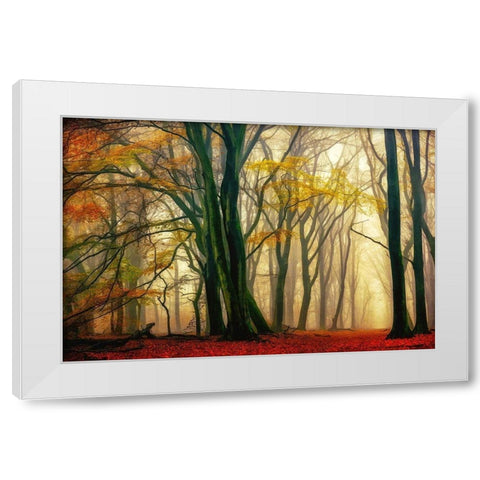 In Love with Fall White Modern Wood Framed Art Print by Van de Goor, Lars