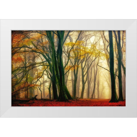 In Love with Fall White Modern Wood Framed Art Print by Van de Goor, Lars