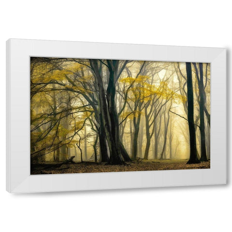 In Love with Golden Fall White Modern Wood Framed Art Print by Van de Goor, Lars
