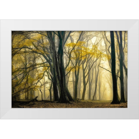 In Love with Golden Fall White Modern Wood Framed Art Print by Van de Goor, Lars