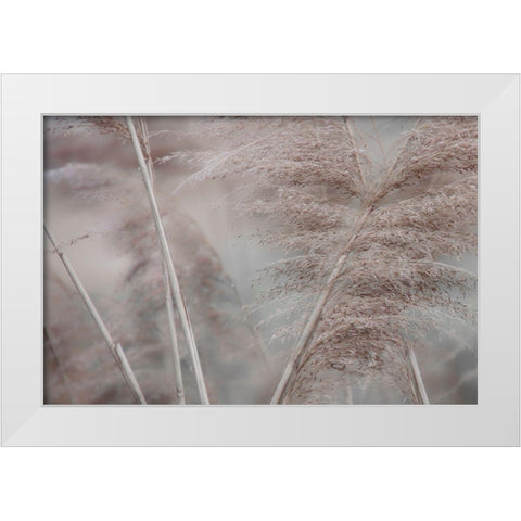 Pampas Field II White Modern Wood Framed Art Print by Weisz, Irene