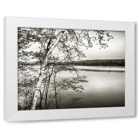 Adirondack Reflections White Modern Wood Framed Art Print by Murray, Chris