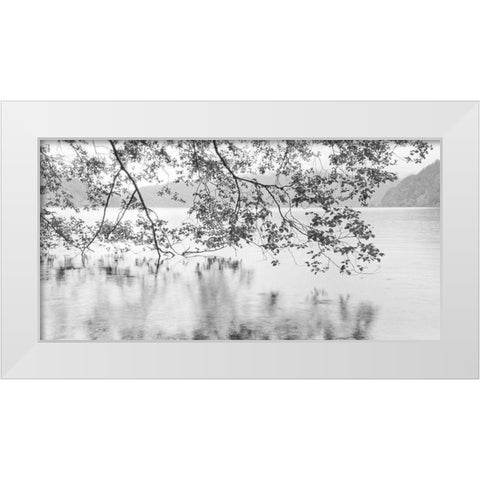 Lake Crescent White Modern Wood Framed Art Print by Paulson, Don