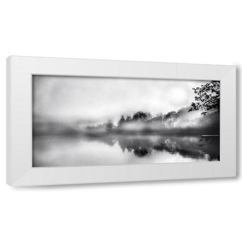 Soft Wonders White Modern Wood Framed Art Print by Weisz, Irene