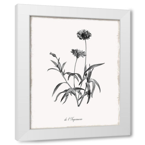 Simply Imperial White Modern Wood Framed Art Print by Donovan, Kelly